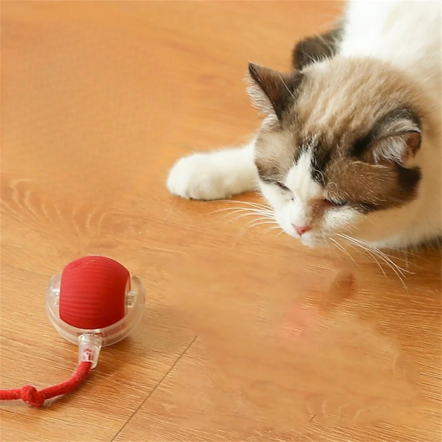 WhiskerWhiz Smart Interactive Toy