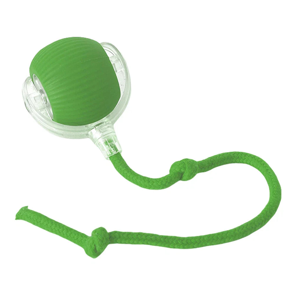 WhiskerWhiz Smart Interactive Toy
