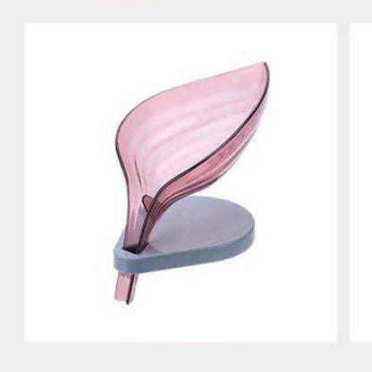 Soap Holder with Drainage
