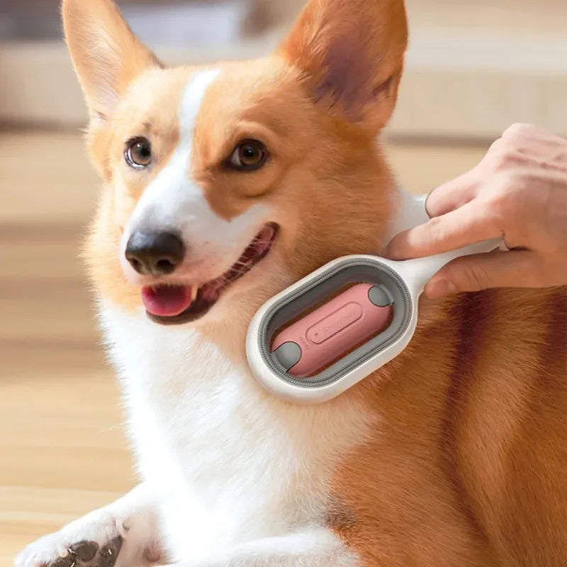 Pet Cleaning Brush