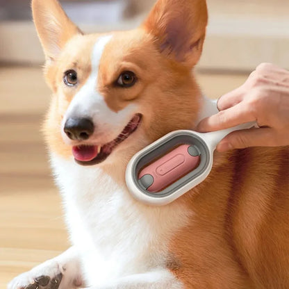 Pet Cleaning Brush