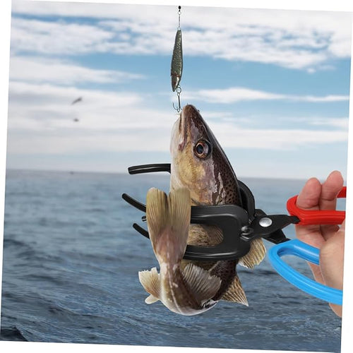 Anti-Slip Fish Holder