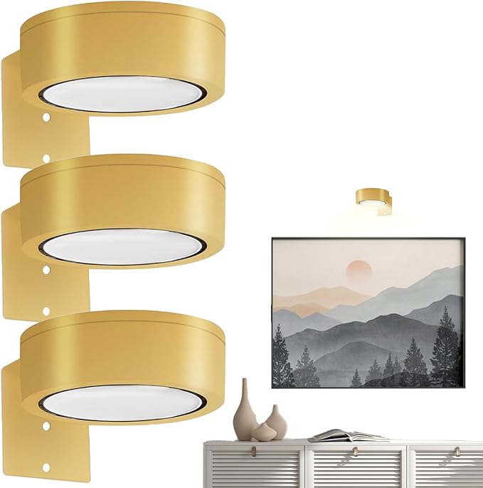 LED Picture Lights (Set of 2)