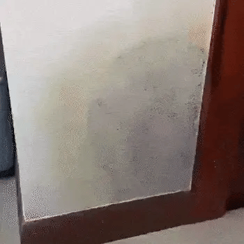 Mold Cleaner Spray