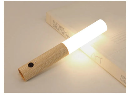 Portable LED Night Light