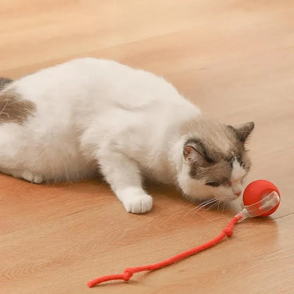 WhiskerWhiz Smart Interactive Toy