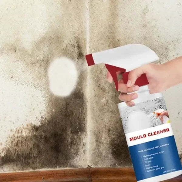 Mold Cleaner Spray