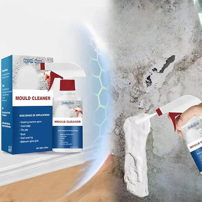 Mold Cleaner Spray