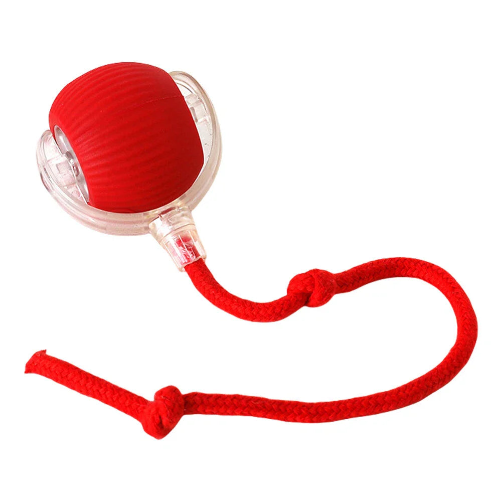 WhiskerWhiz Smart Interactive Toy