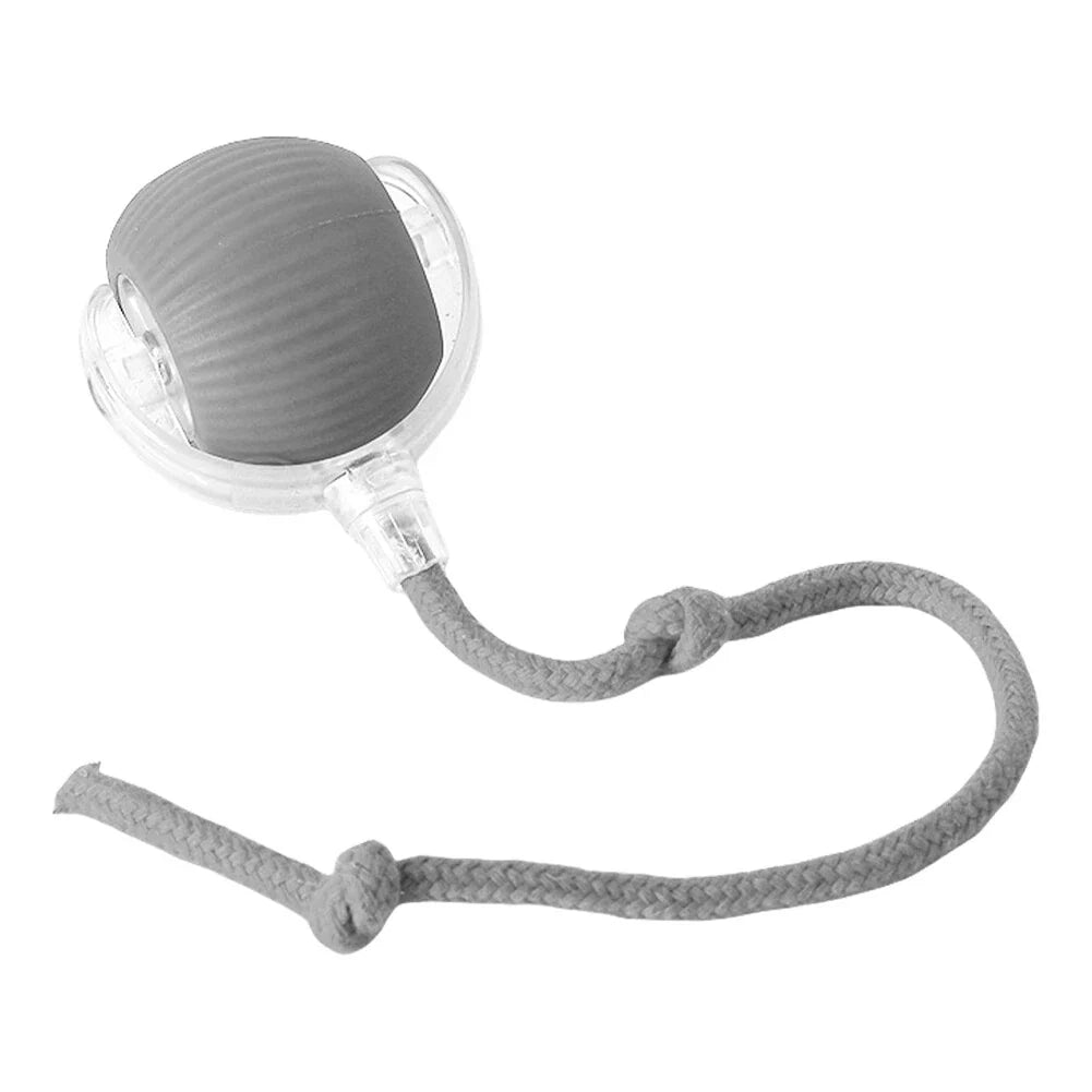 WhiskerWhiz Smart Interactive Toy